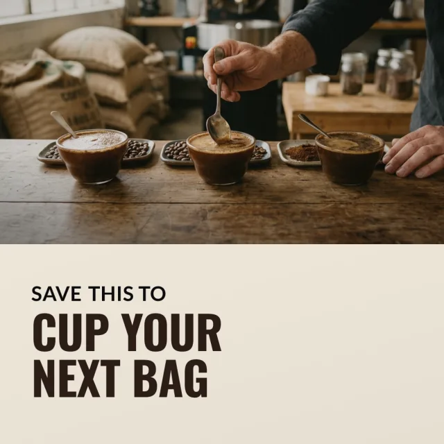 Slide 8 of the generated deck for Driftwood Roasters